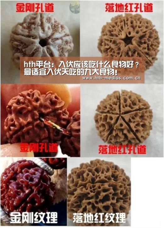 hth官方网站